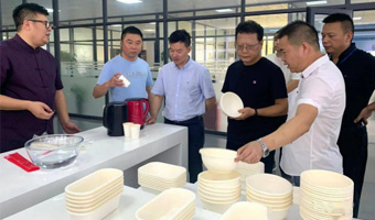 Explore activamente nuevos materiales nuevos de protección ambiental.